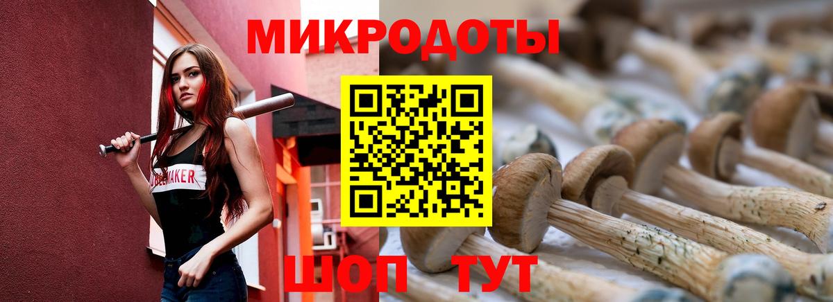 Кострома  даркнет сайт  Вход с VPN  Псилоцибиновые грибы Psilocybe 
